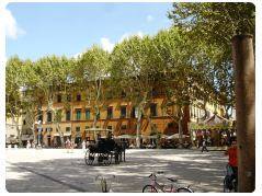 Piazza Napoleone - Lucca 