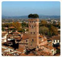 Torre Guinigi - Lucca 