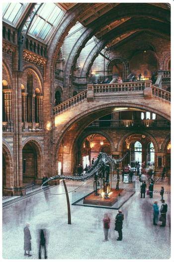 Natural History Museum di Londra