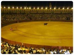 Real Maestranza de Caballeria