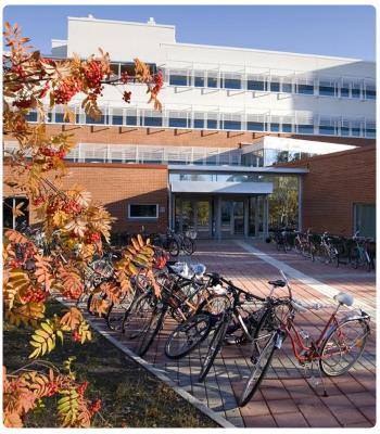 Università di Rovaniemi