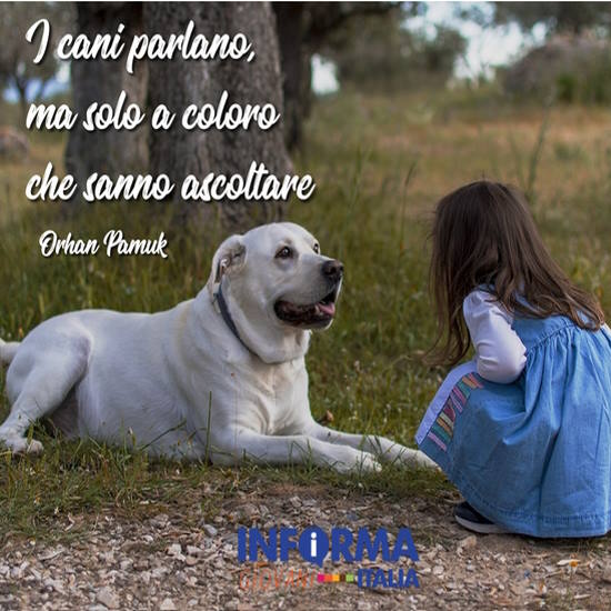 101 frasi, citazioni e aforismi sui cani più belli di sempre