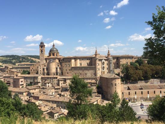 Palazzo Ducale di Urbino