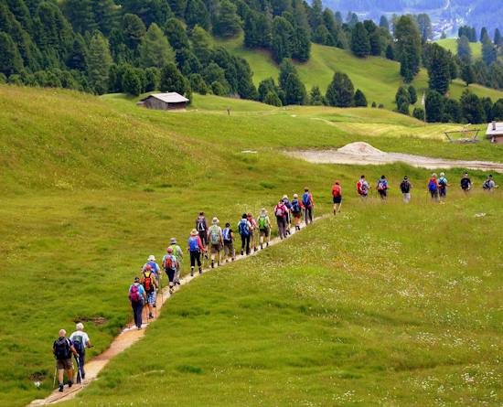 Accompagnatore naturalistico
