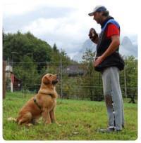  Avviare attività di addestratore di cani 
