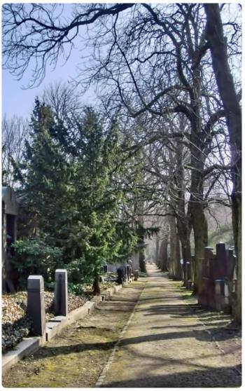Antico cimitero ebraico di Berlino - Alter Jüdischer Friedhof