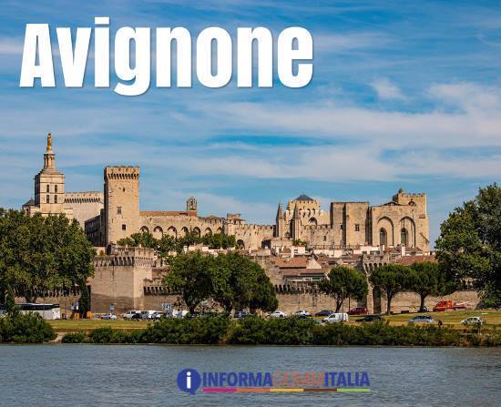 Avignone