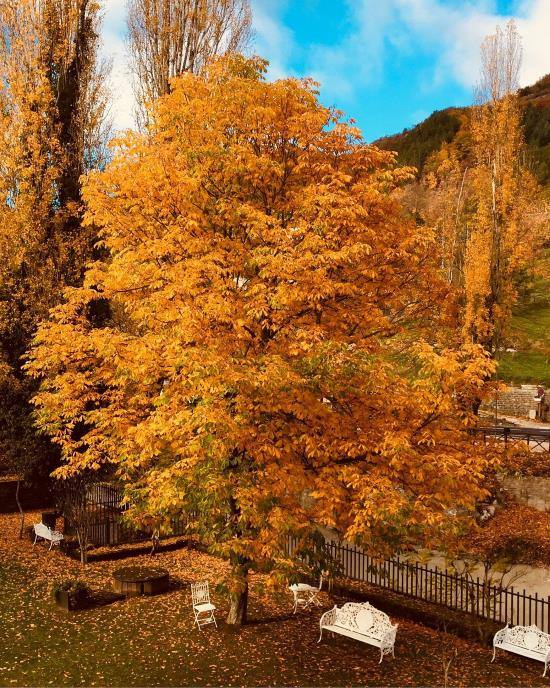 Colori d'autunno a  Bagno di Romagna