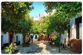 Barrio Santa Cruz