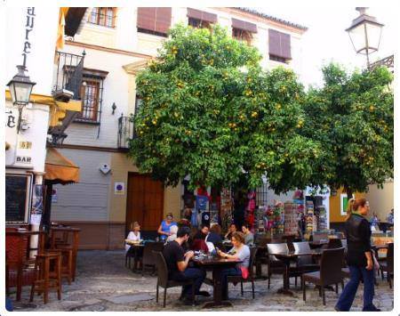 Barrio Santa Cruz - Siviglia