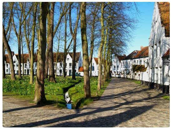 Begijnhof - Beghinaggio di Bruges
