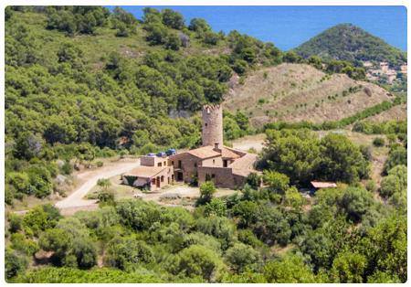 Cammino di Carmen Amaya