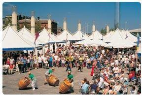 Cardiff Summer Festival