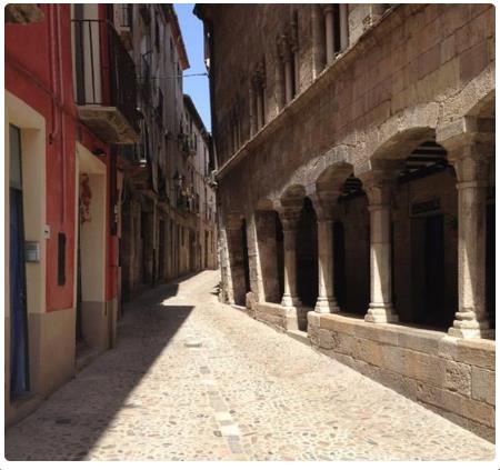 Corte reale (Cúria Reial)