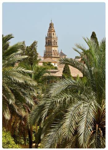 Cosa vedere a Cordova