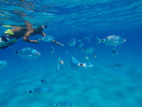 Cose da fare a Villasimius