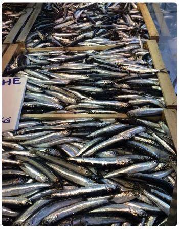 Cosa mangiare a la Spezia