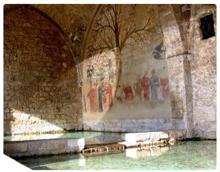 Fonte Pubblica e l'Albero della Fecondità a Massa Marittima