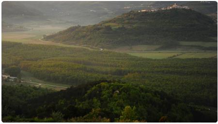 Foresta di Montona