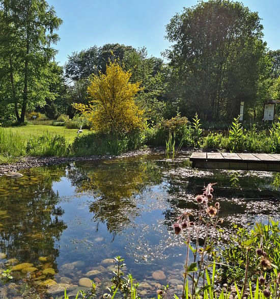 Giardino Botanico di Vienna - Botanischer Garten