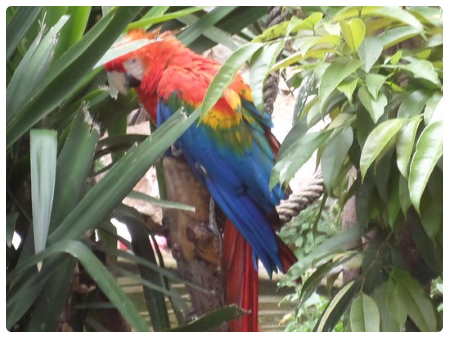 Giardino degli Animali