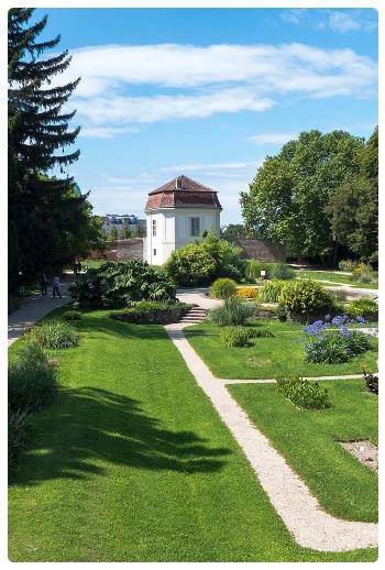 Giardino Botanico di Vienna - Botanischer Garten