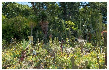 Giardino Botanico di Vienna - Botanischer Garten