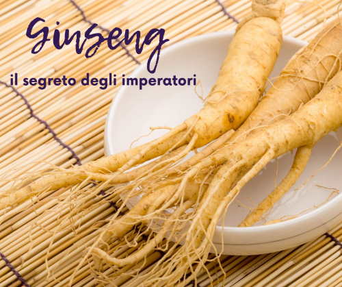 Ginseng, il segreto degli imperatori