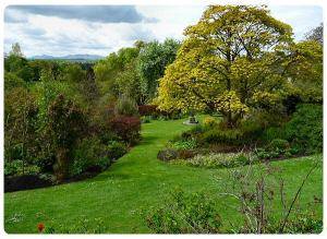 Inveresk Lodge Garden