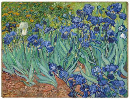 Iris - Van Gogh - 1889