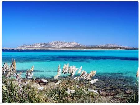 Area marina protetta Asinara