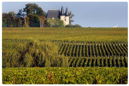 Musée des arts et métiers de la vigne et du vin