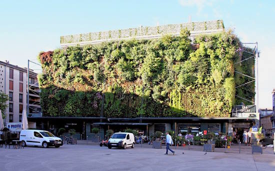 Il mercato di Les Halles di Avignone