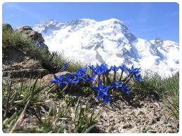 Monte Breithorn