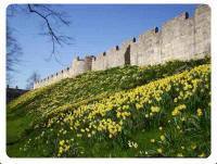 Le antiche mura di York