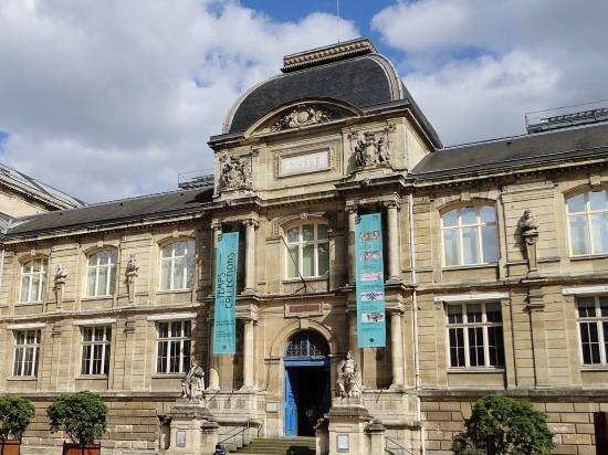Museo delle Belle Arti di Rouen (Musée des Beaux-Arts)
