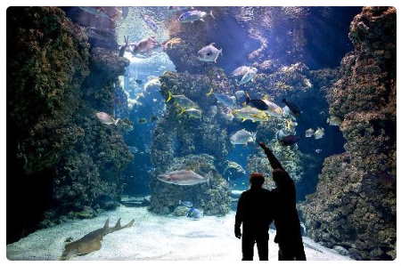 Museo Oceanografico di Monaco
