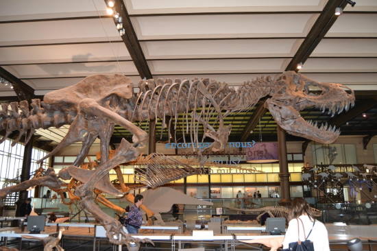 Museo di scienze naturali di Alava