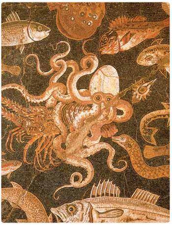 Museo Archeologico di Nizza