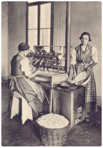 Museo della Seta Como