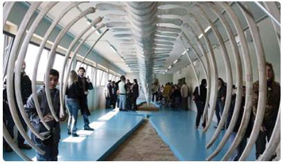 Il Museo del Mare 