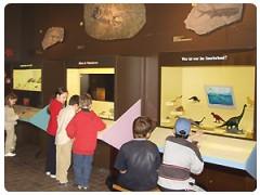 Museo Mensch und Natur - Monaco di Baviera