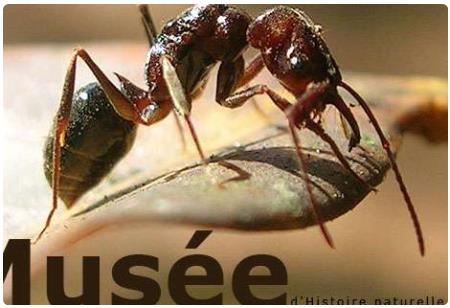 Musée des arts et métiers de la vigne et du vin