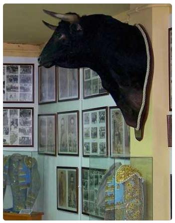 Museo Taurino della Corrida a Malaga