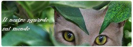 Notiziario Informagiovani-italia.com