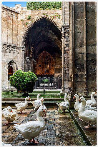 Cattedrale Di Barcellona