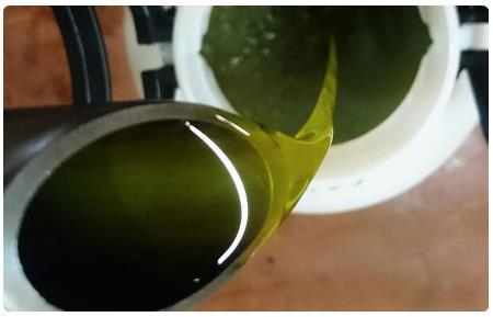 Olio Extra Vergine d'Oliva di San Gimignano
