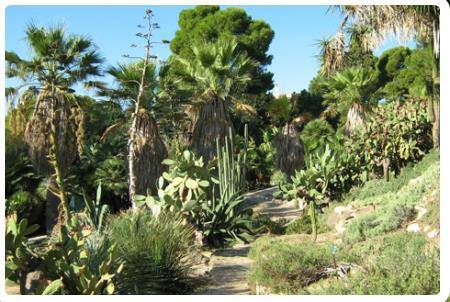 Orto botanico di Cagliari