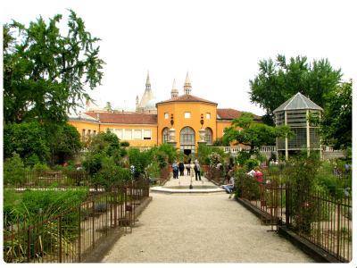 Orto Botanico Padova