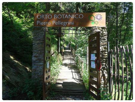 Orto Botanico Pietro Pellegrini